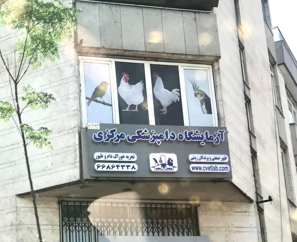صبا طیور