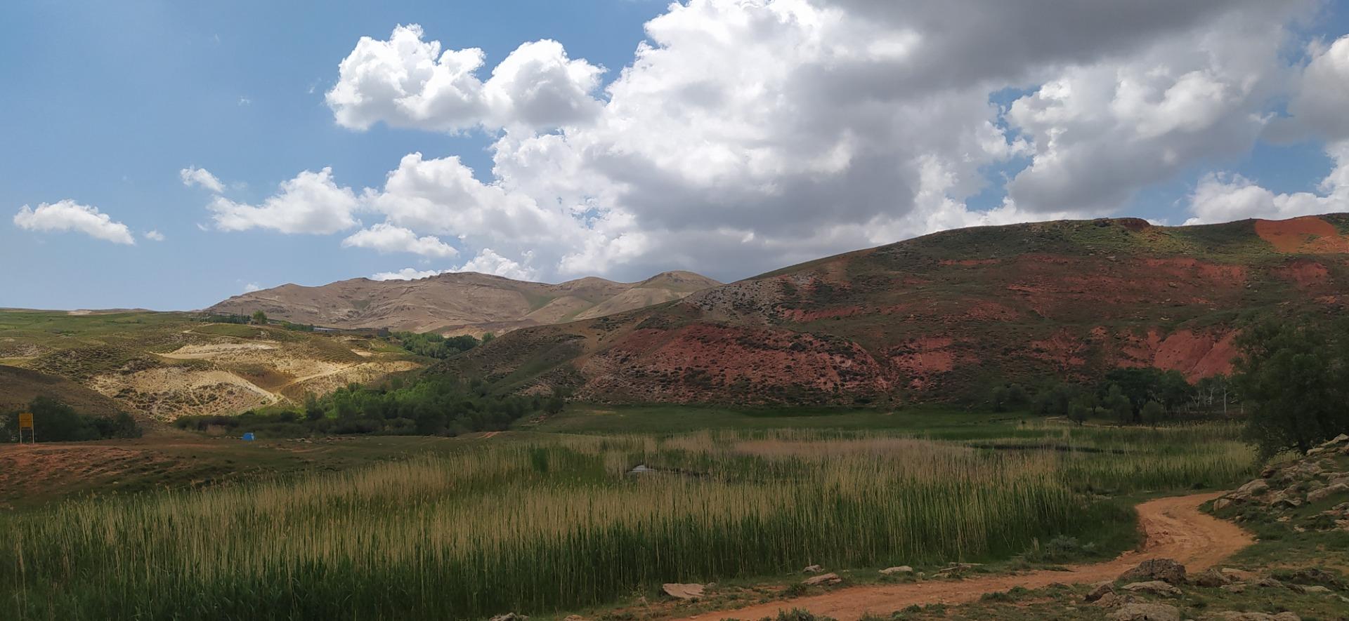 فضای سبز