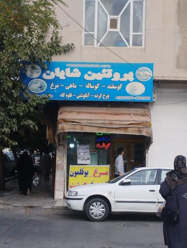 فروشگاه پروتئین شایان