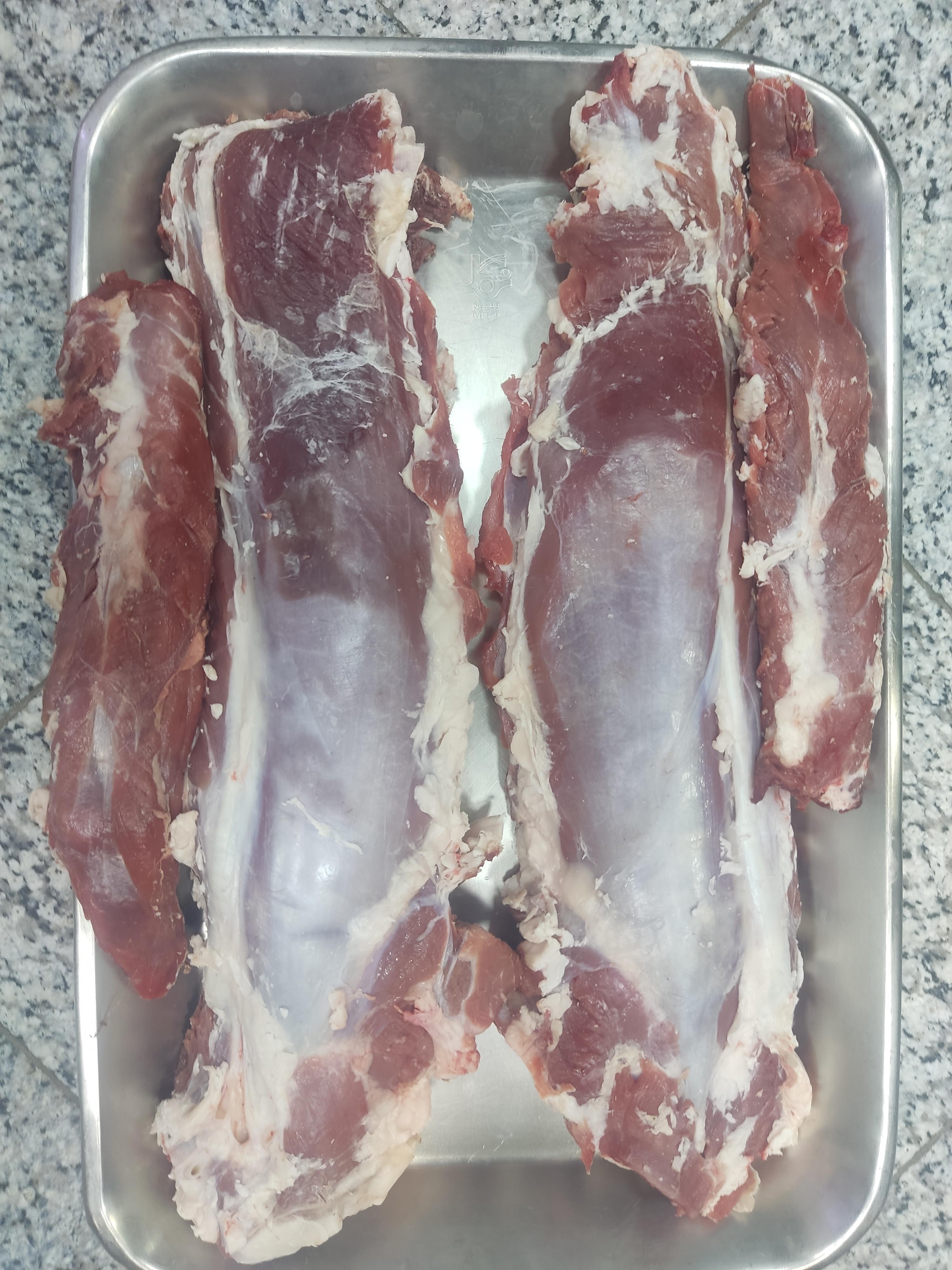 ایلیا پروتئین