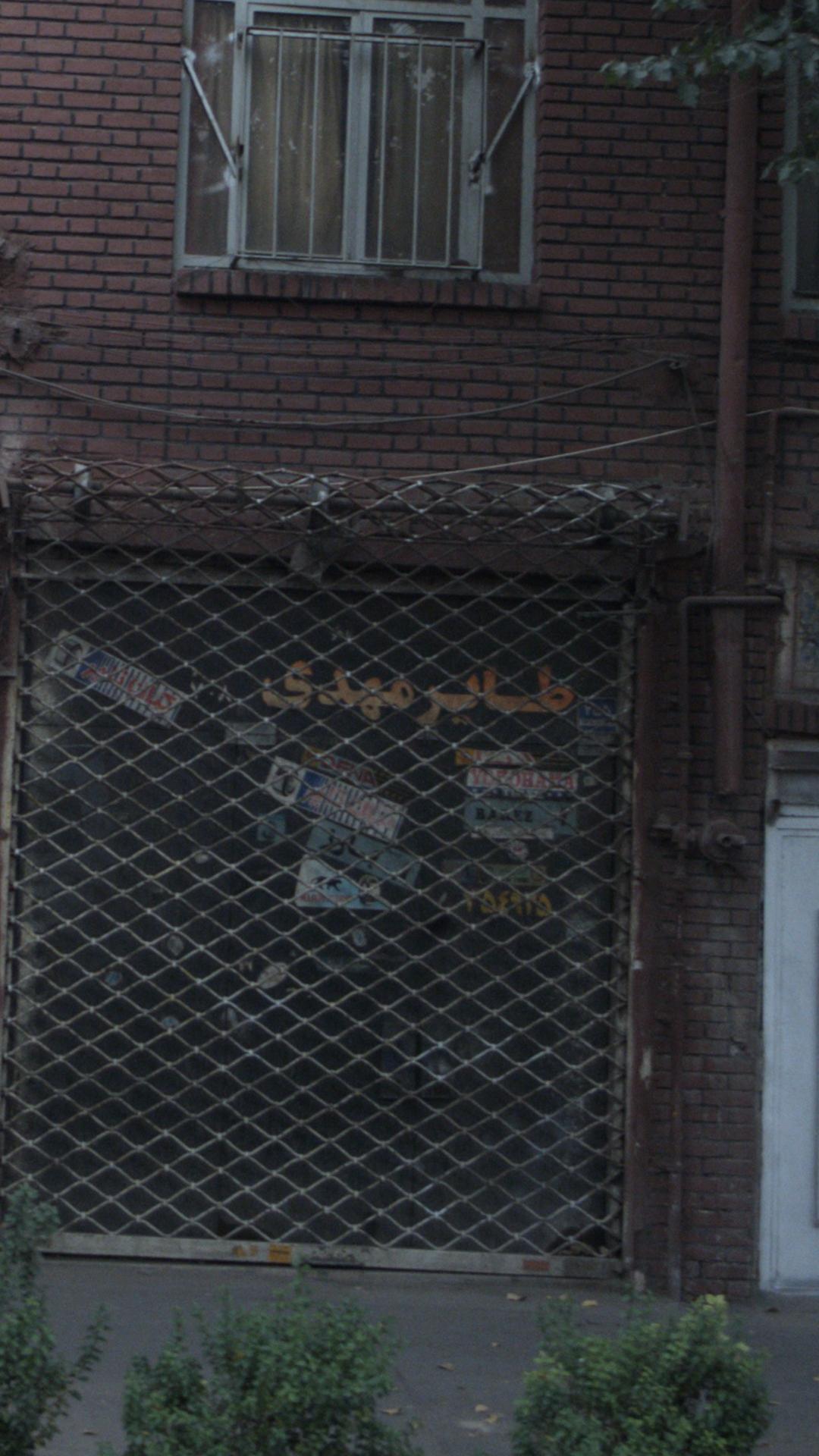 طایر مهدی