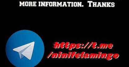 نی نی فلامینگو