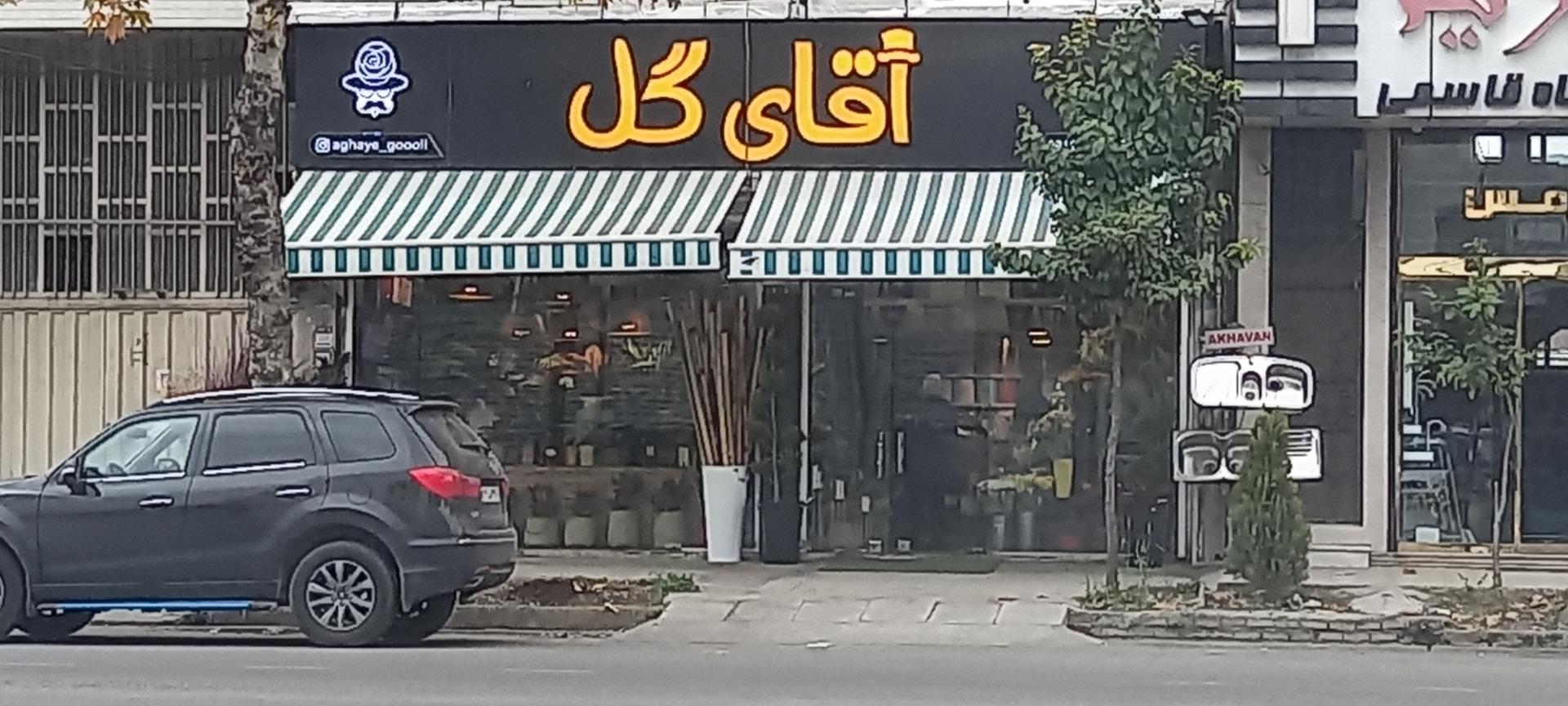 گل دامون