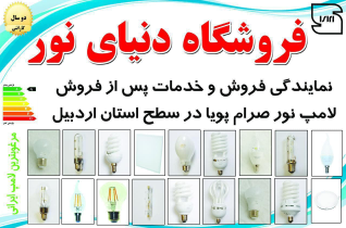 الکتریکی کامجو