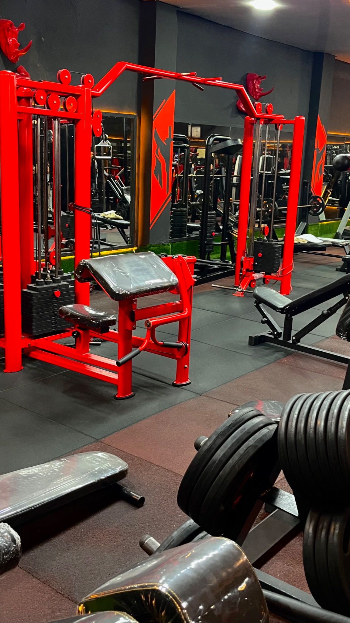 باشگاه عدالت (بدنسازی)