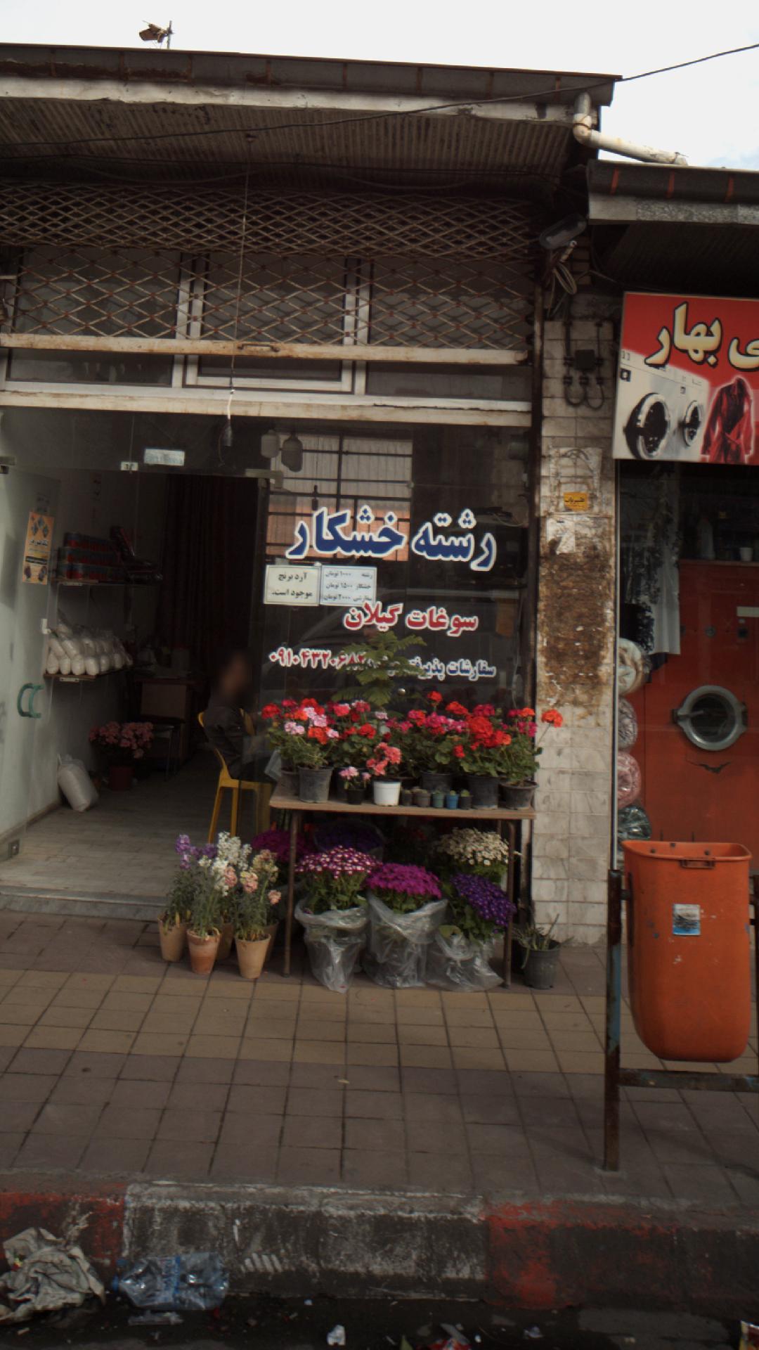 رشته خشکار