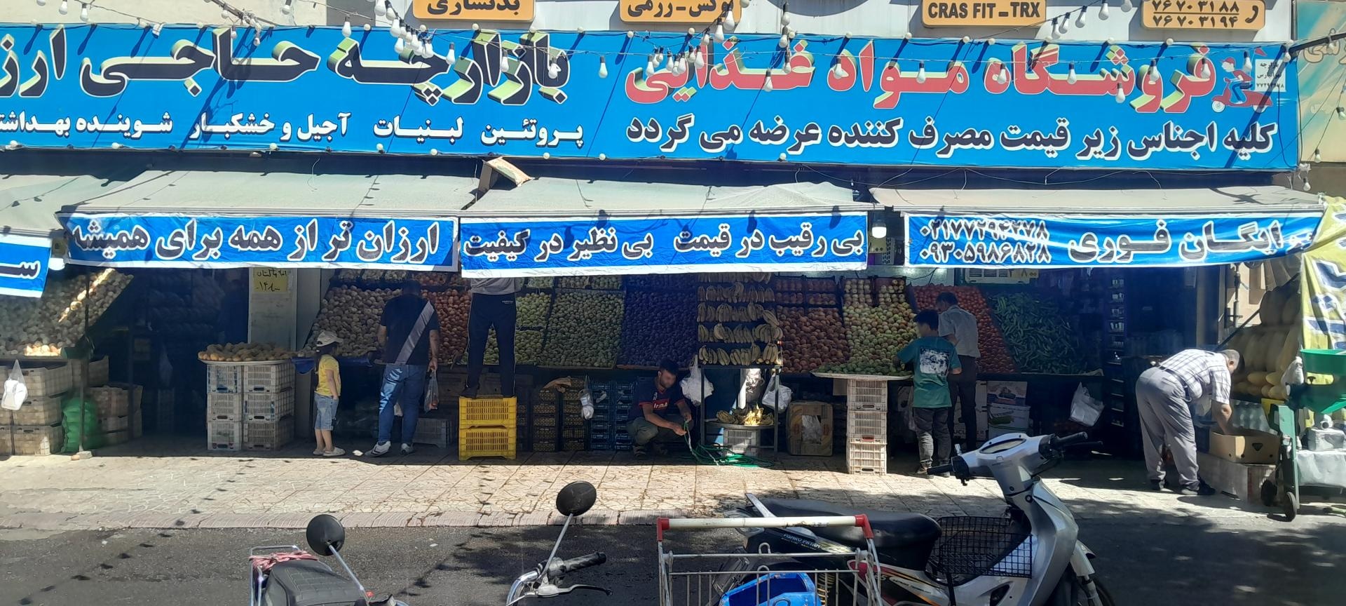 میوه فروشی مهدی