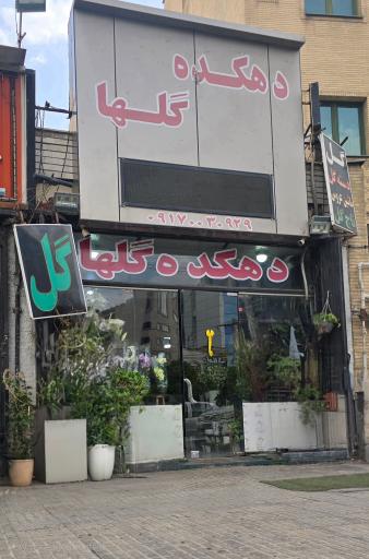 دهکده گلها