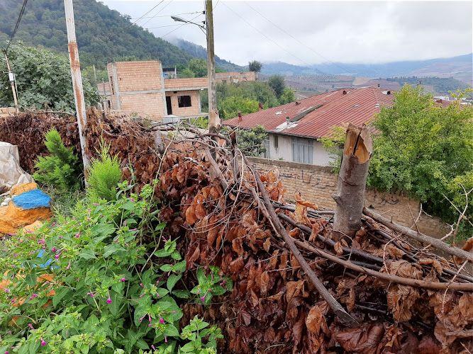 اقامتگاه مرزبن