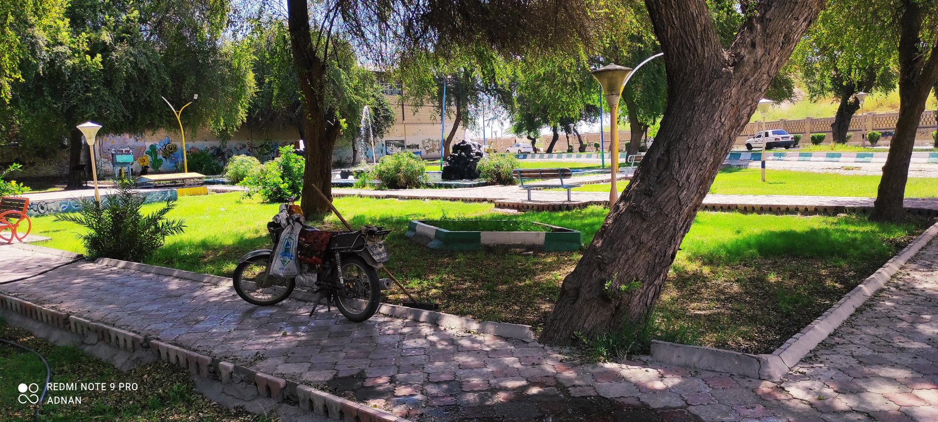 بوستان ساحلی