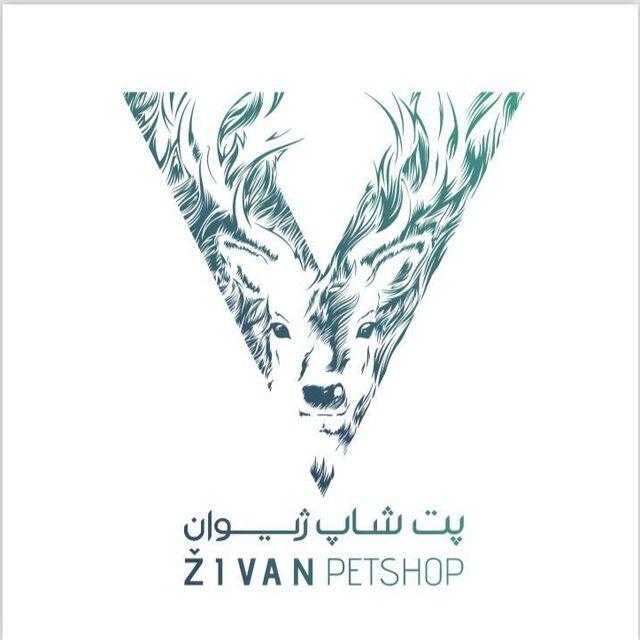 پت شاپ ژیوان