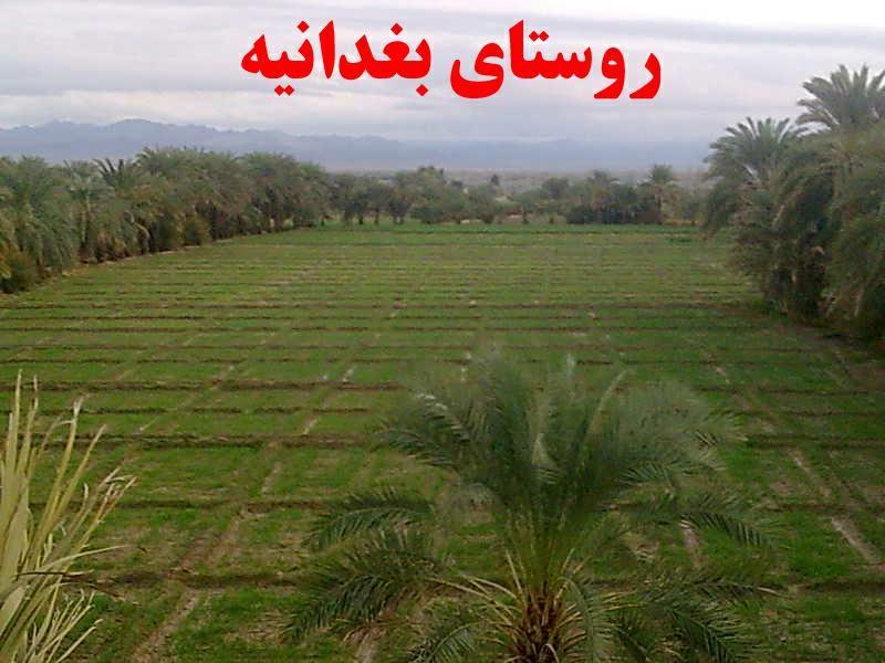 بغدانیه