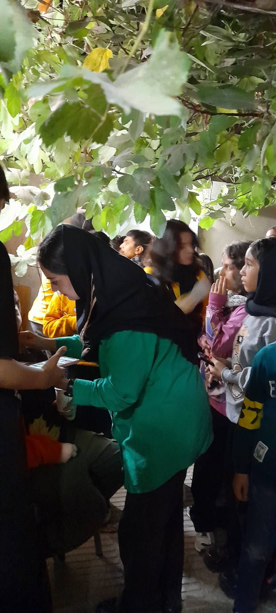 آکادمی زبان فرهنگ نوین