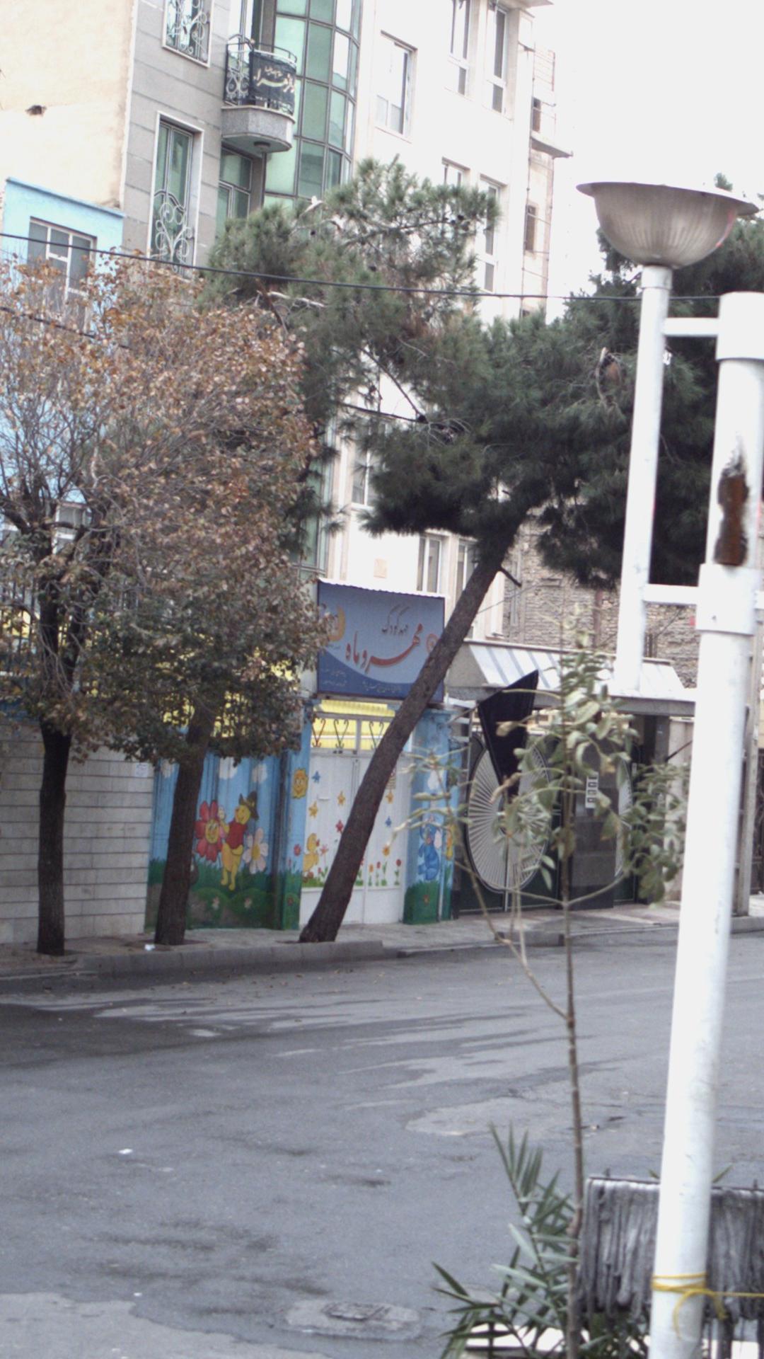 مهد کودک و پیش دبستانی گلها
