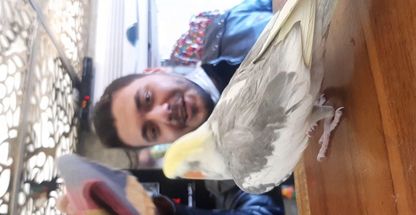 کلبه طبیعت مسعود                                      ساعت پاسخگویی شنبه الی ۴شنبه ۱۰صبح الی ۱۷