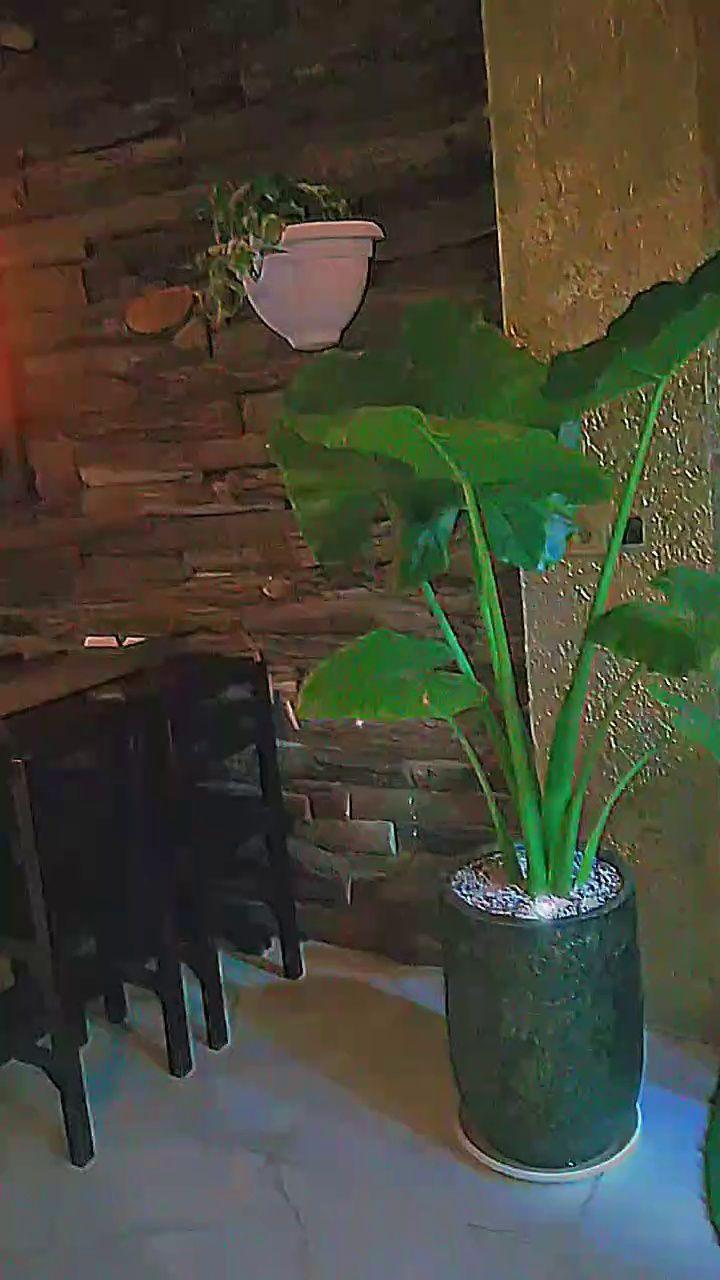 فست فود فندق