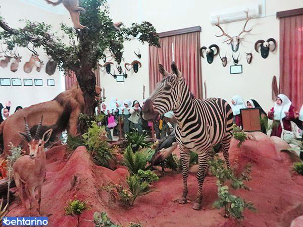 موزه تنوع زیستی