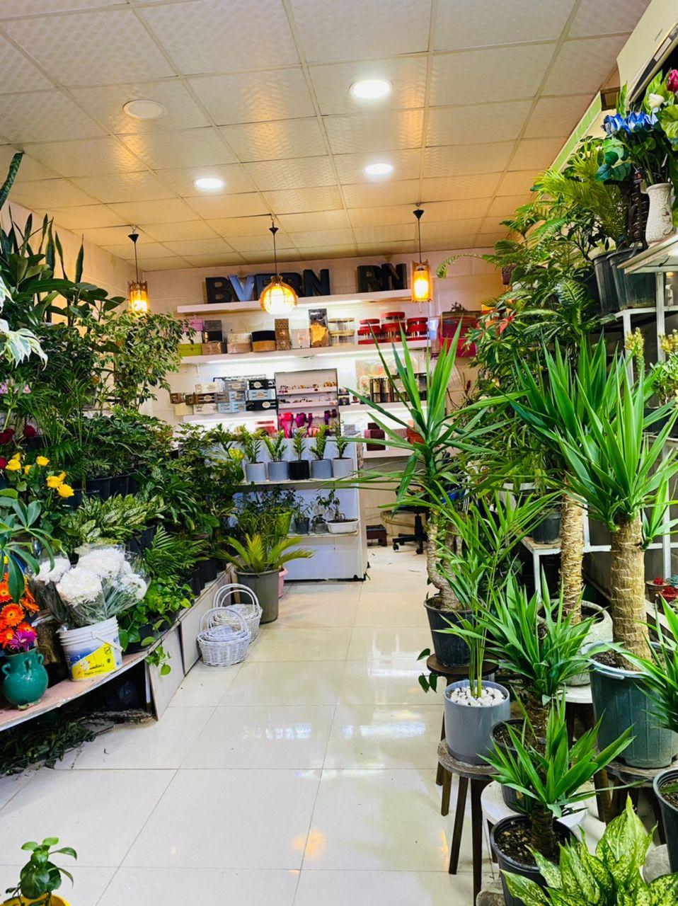 گل فروشی خاطره