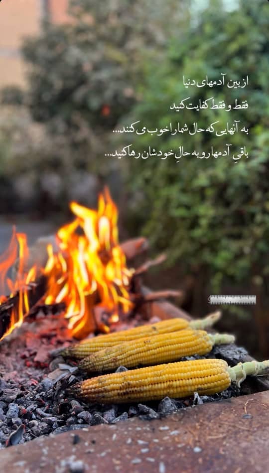 کافه کبابی عمو رضا