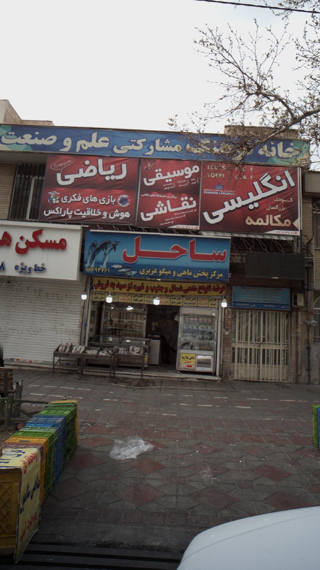 ساحل