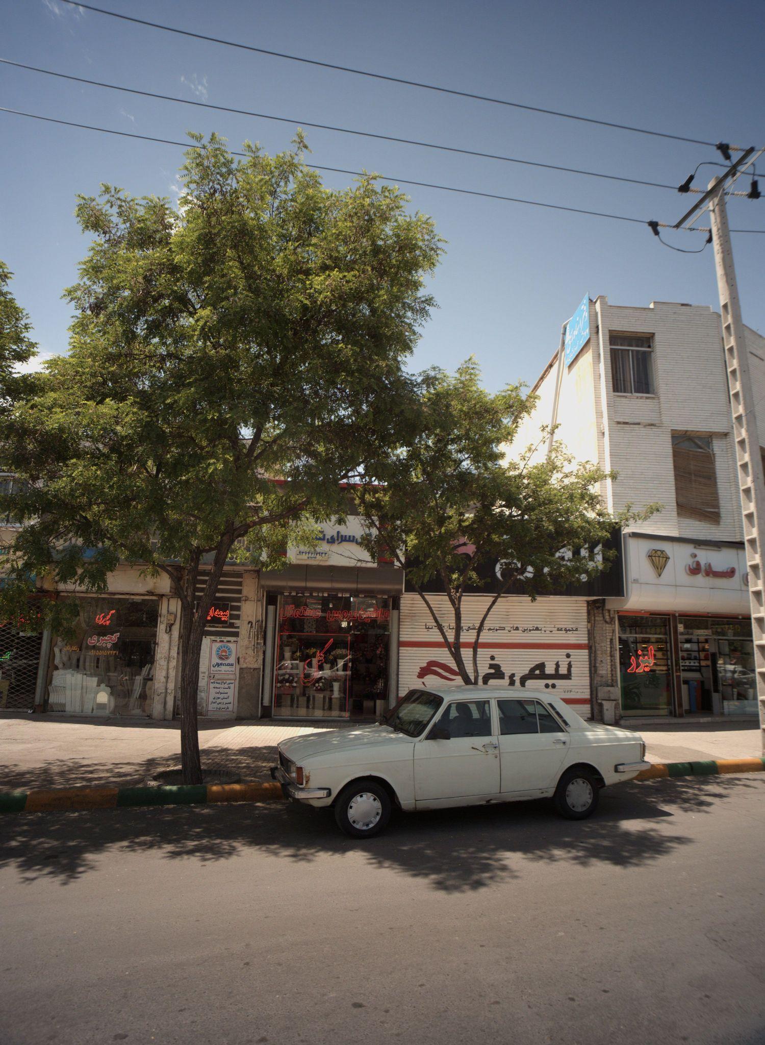 گل سرای شایان