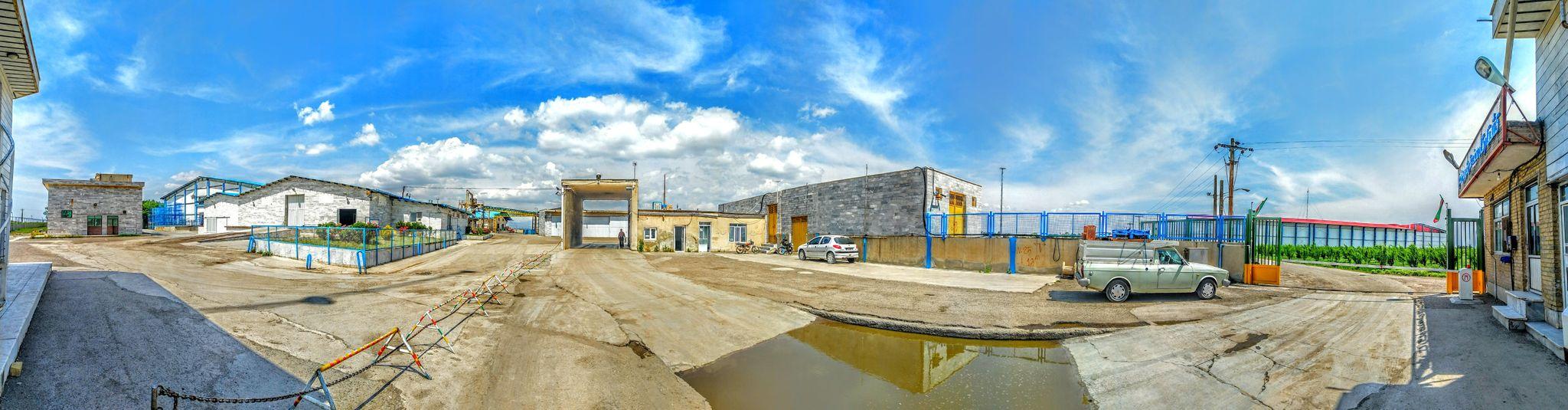 کشتارگاه قزوین مرغ