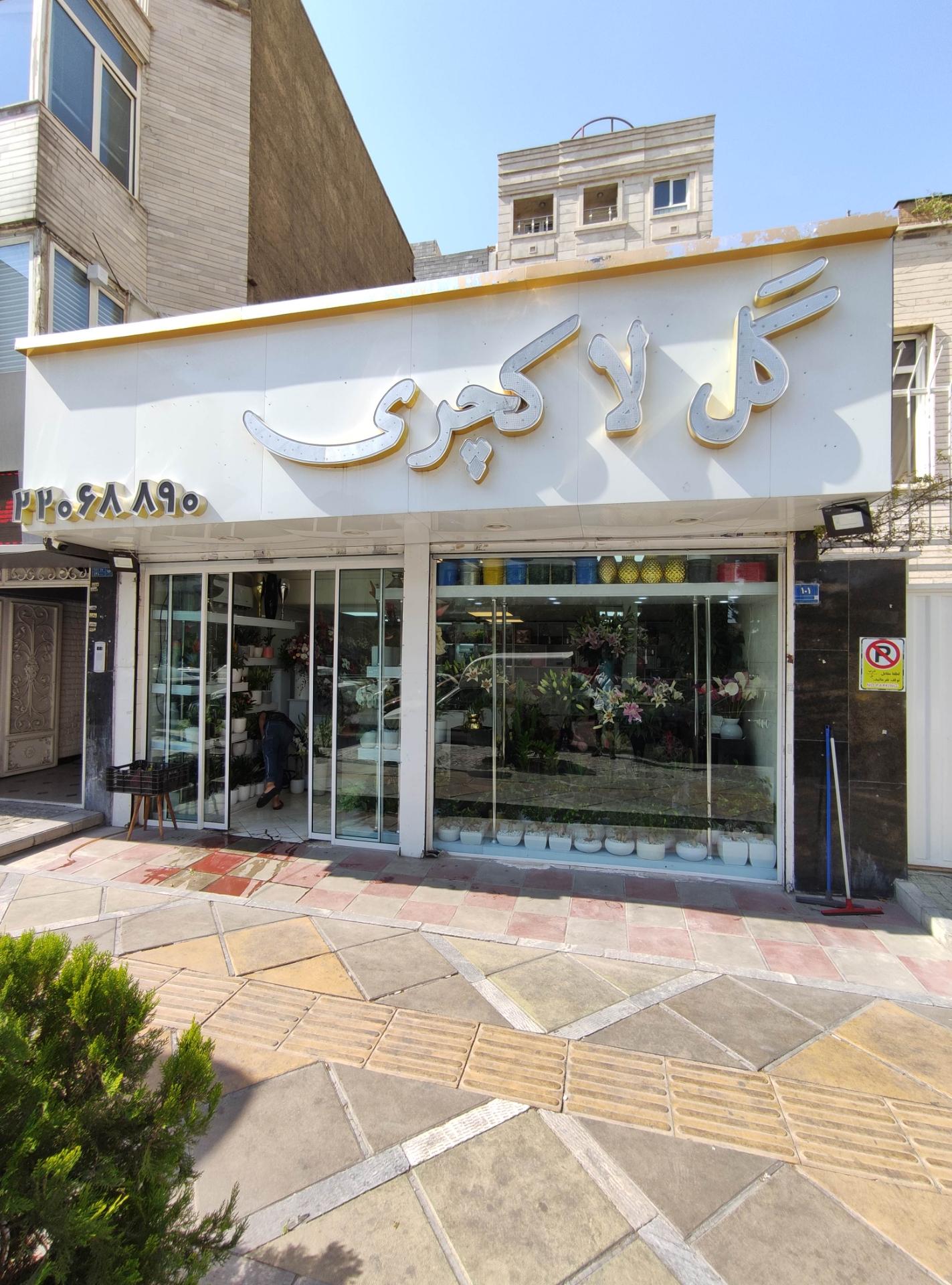 گل شقایق