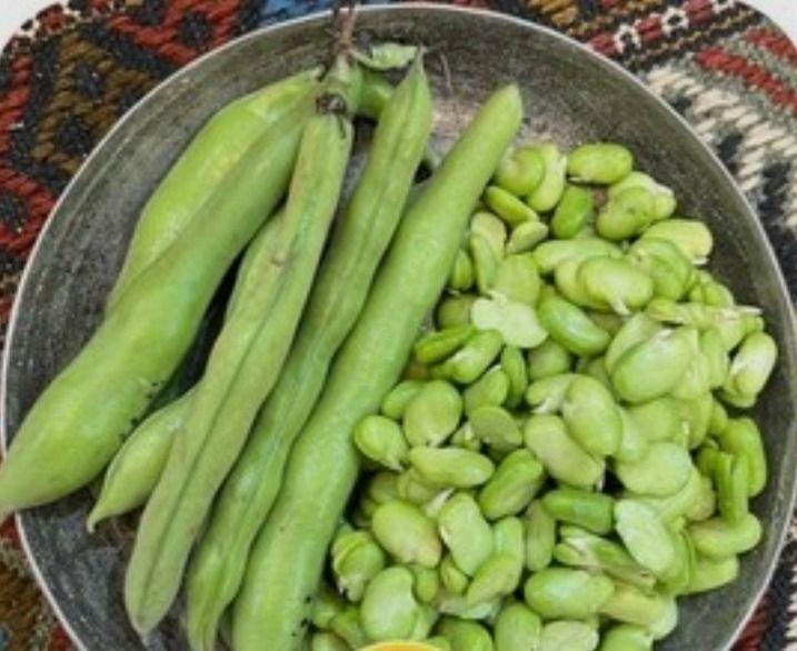 سبزی جات و صیفی جات آماده آریا