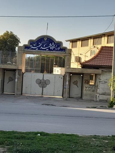ورزشگاه شهید فهمیده