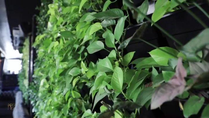 کافه رستوران روف لانژ (𝗥𝗼𝗼𝗳𝗹𝗼𝘂𝗻𝗴𝗲 𝗖𝗮𝗳𝗲)