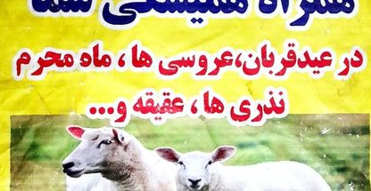 دام زنده رحمانی