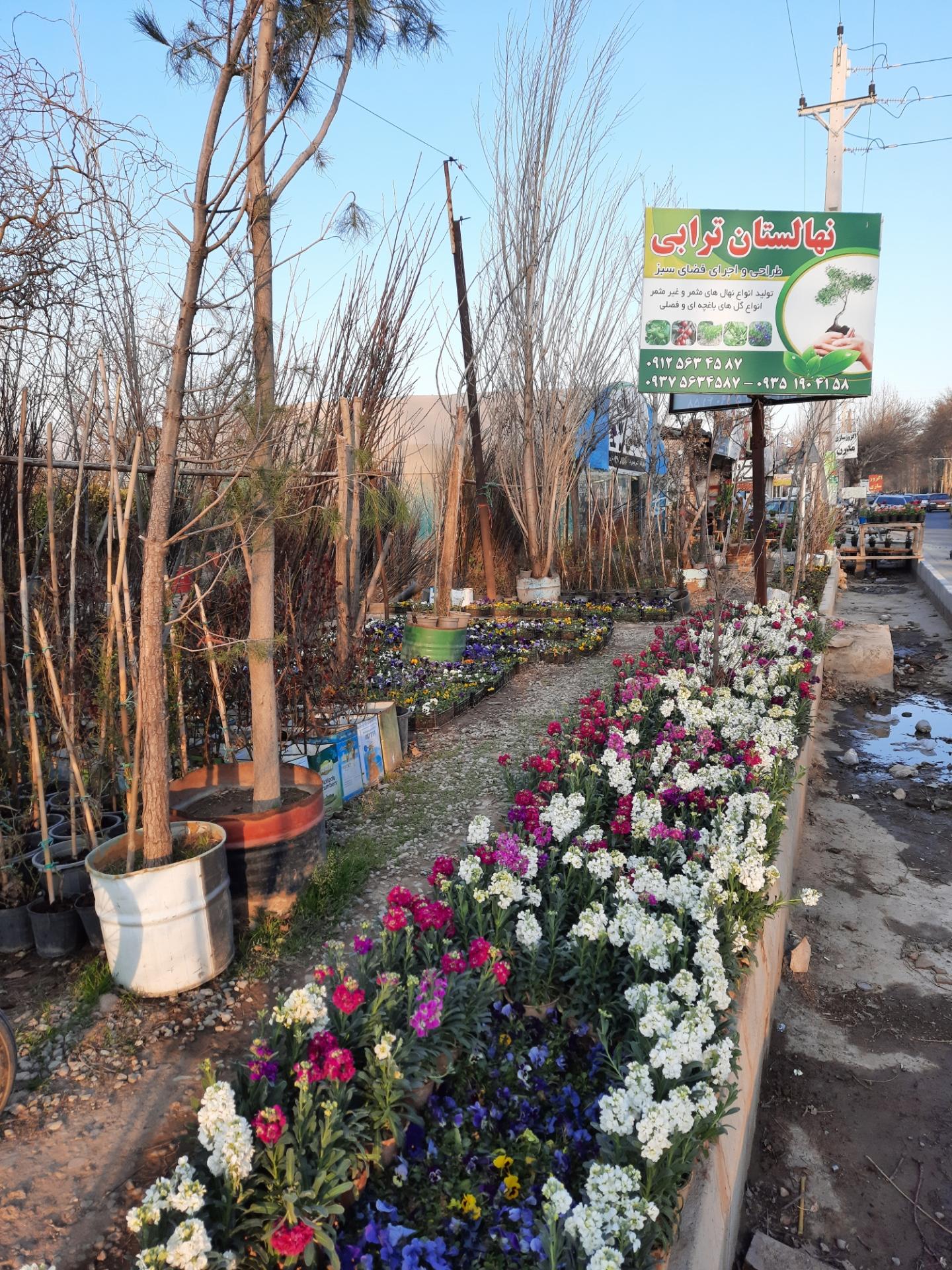 نهالستان خوشنام- مجید بهمن آبادی