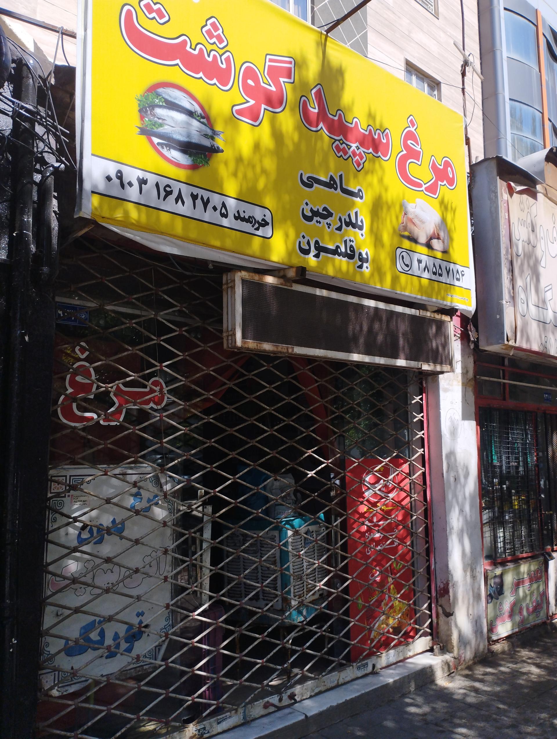 مرغ مشهد