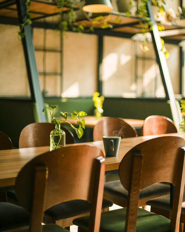 گروه معماری ونوس