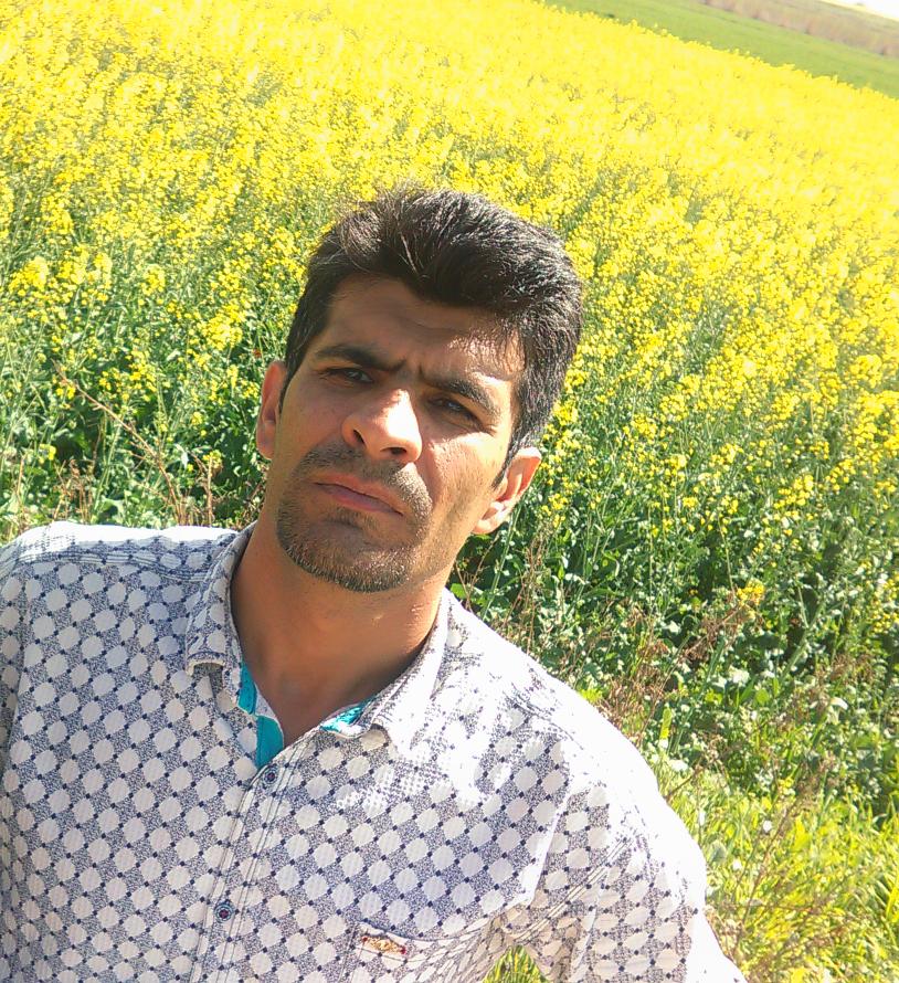 لبنیاتی دشتی