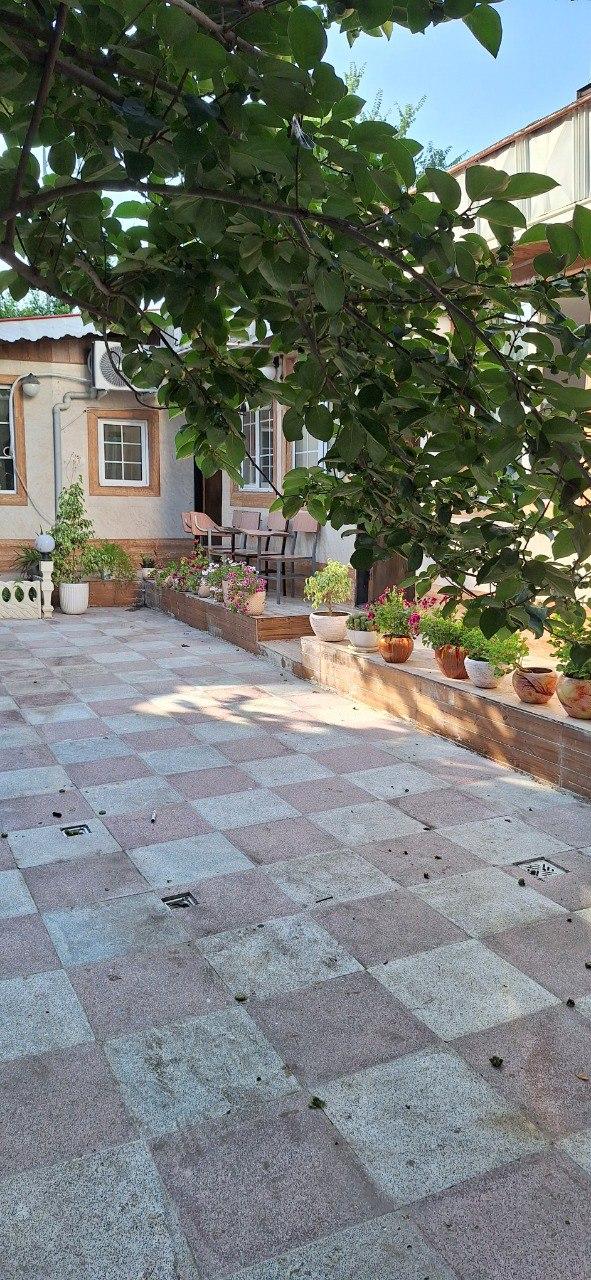 آموزشگاه زبان سفیر پسران
