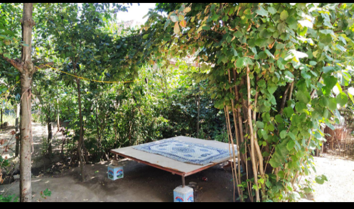 اقامتگاه کلبه خاطرات