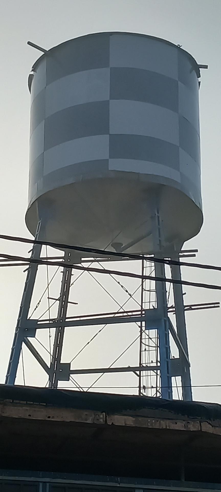 فروش گل