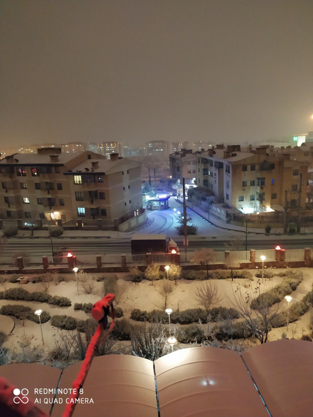 مجتمع شقایق