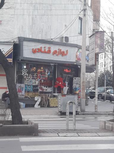 شهر تولد