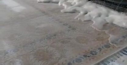 قالیشویی ممتازپیشگام