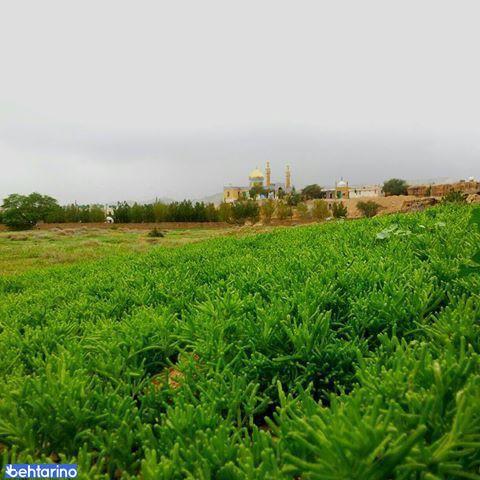 روستای بی بی خاتون