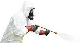 سمپاشی تخصصی و تضمینی ( سوسک ساس موش و...)