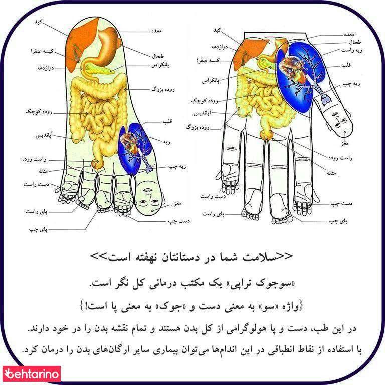 بازتاب درمانی پیشرفته
