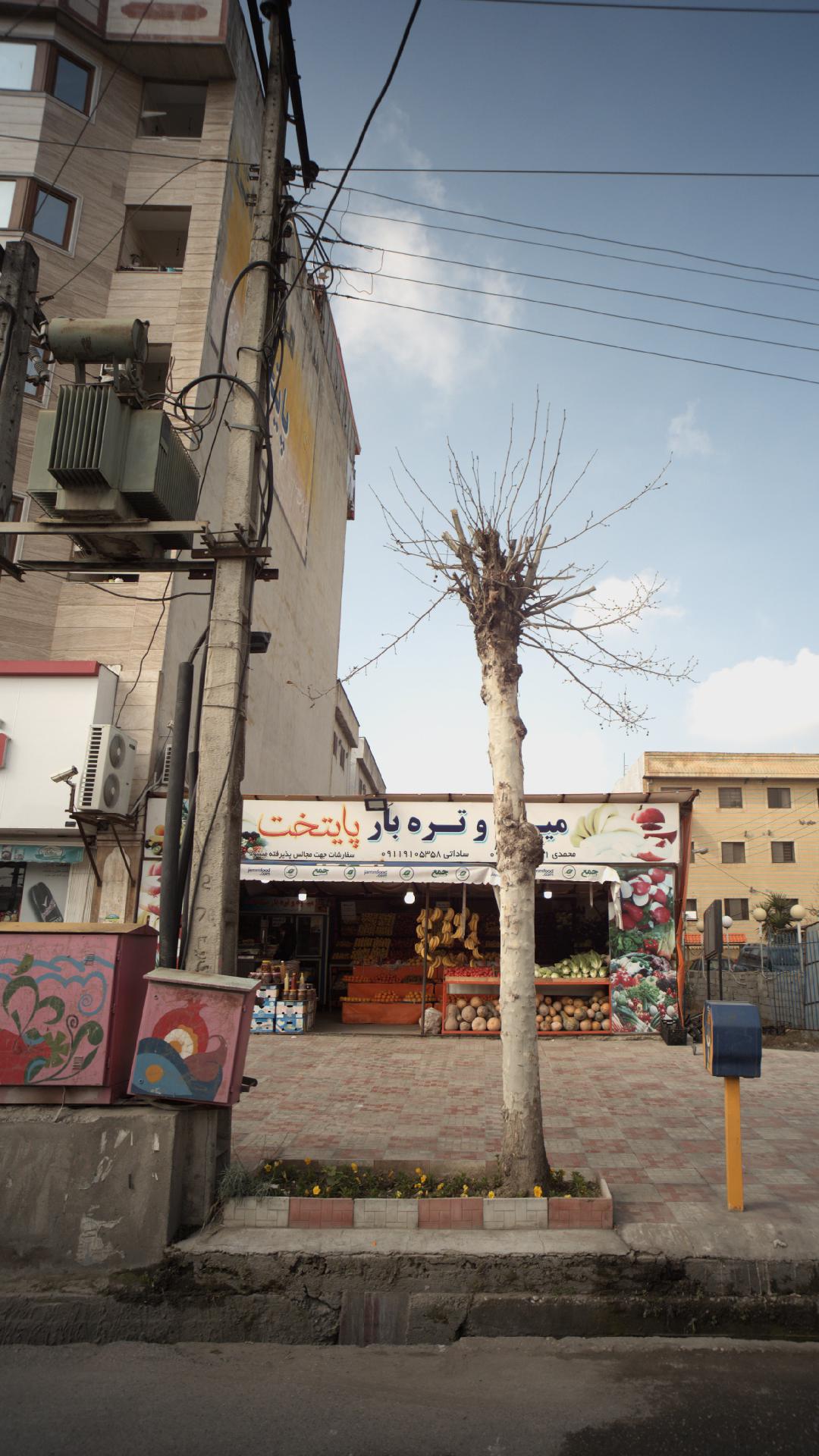 میوه فروشی قائم شهر