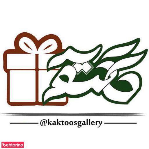 گالری کاکتوس