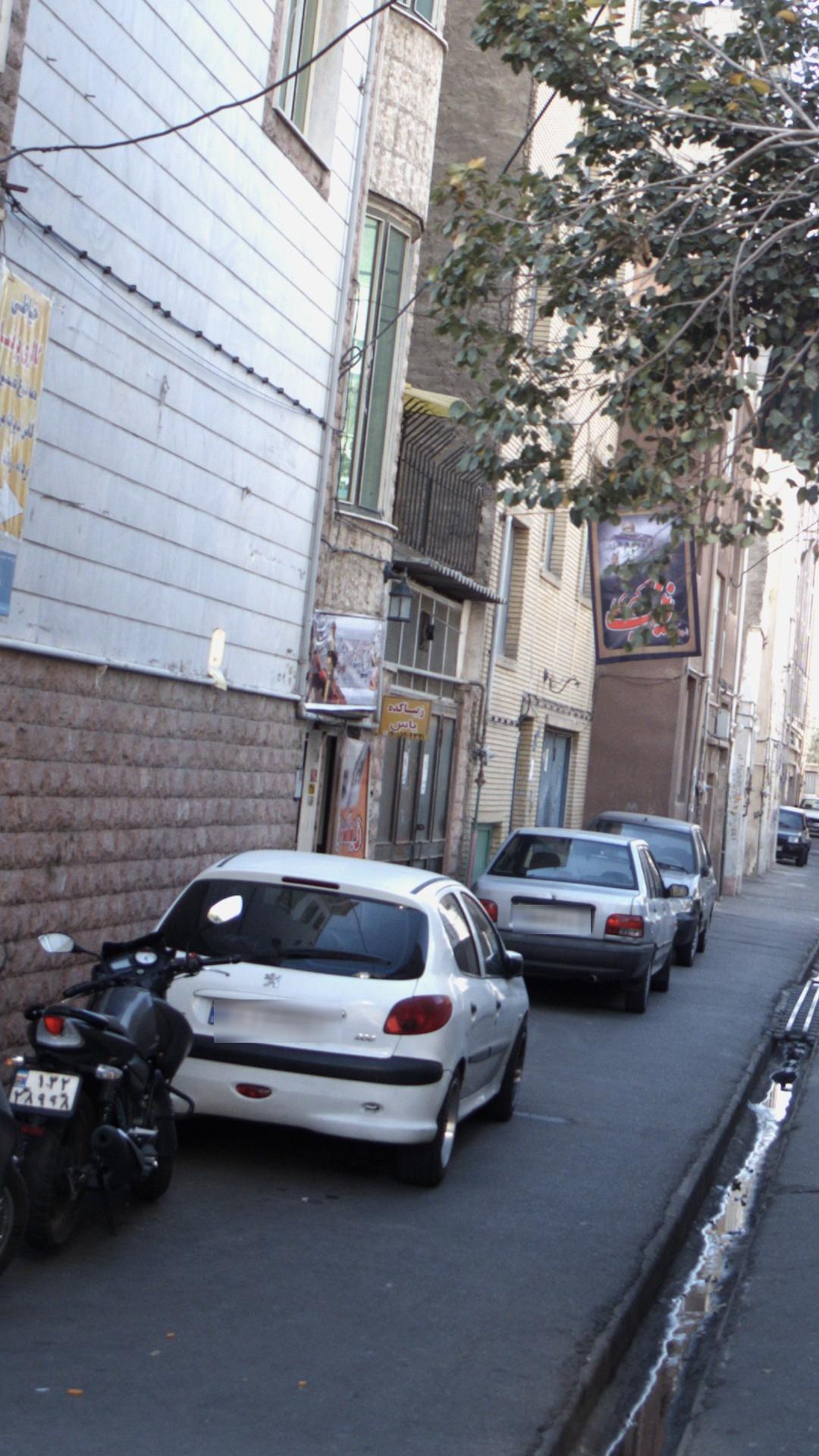 زیباکده یاس