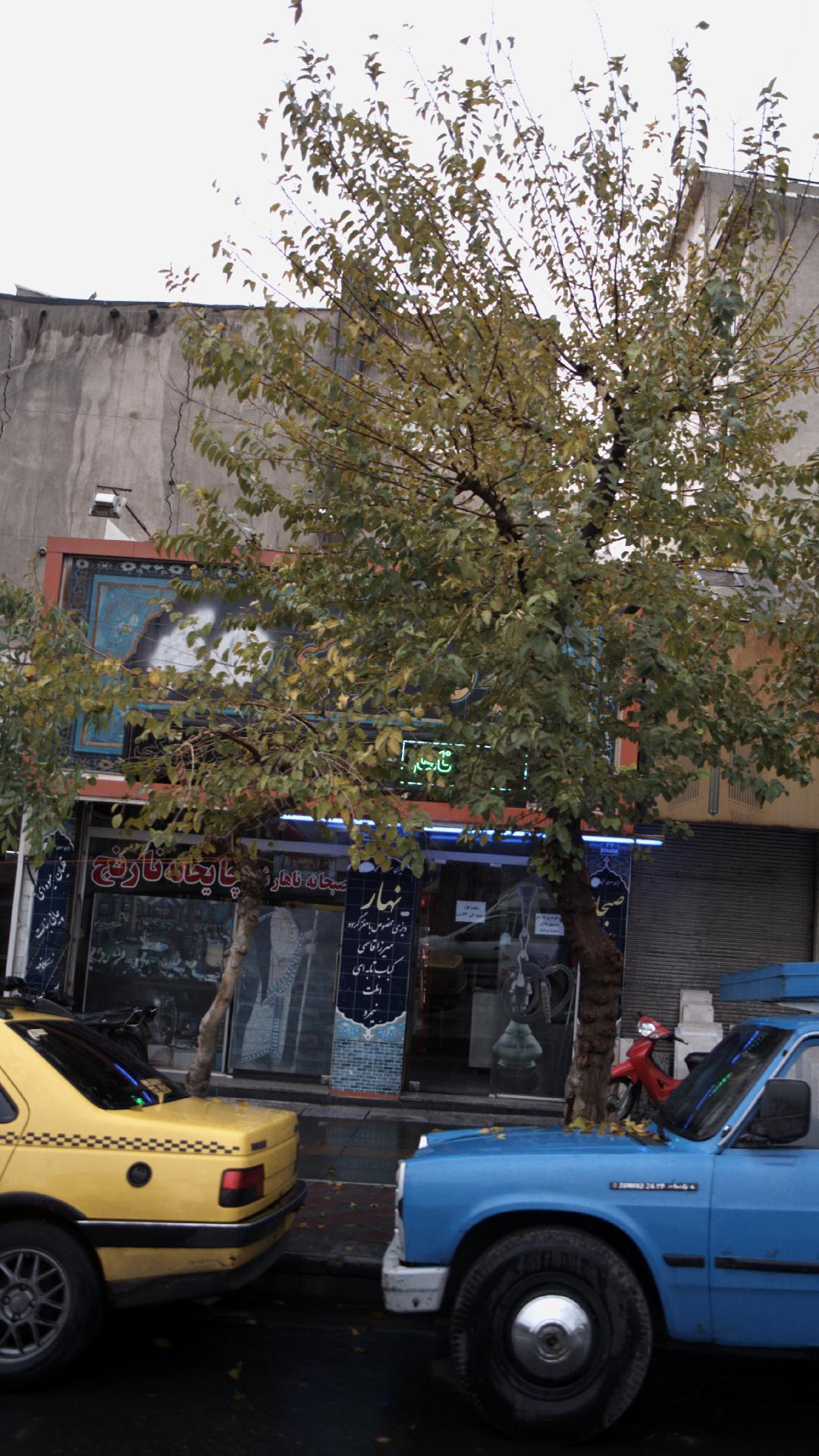 قهوه خانه سنتی پارسا