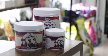 کلینیک دامپزشکی دکتر بهنام انتظاری