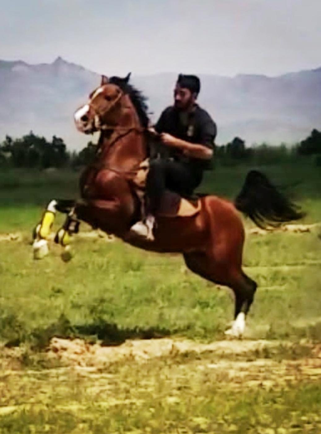 مجموعه پرورش اسب سبلان